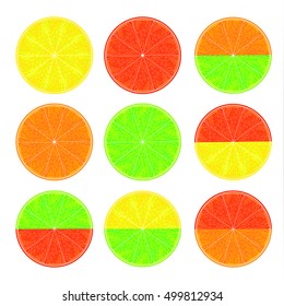 Citrus slices and halves. Juicy orange and sour lemon. Delicious grapefruit and lime green. Organic concept. Fresh eco fruit. White background. Vector illustration.