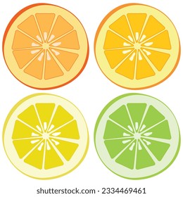 Citrus slices icons vector illustrations