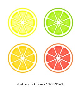 Citrus slices of lemon, orange, lime and grapefruit. Vector isolated illustration.