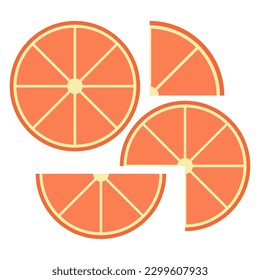 Citrus slices of lemon, orange, lime and grapefruit. Vector illustration