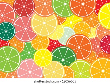 Citrus slices multicolored background. Vector illustration.
