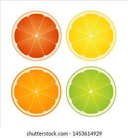 Citrus slices on white background. Vector icons of orange, lemon, lime and grapefruit.