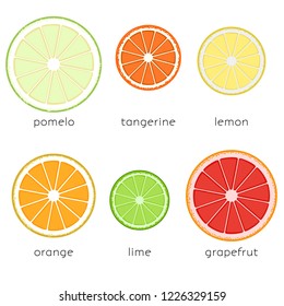 Citrus slices. Pieces of citrus fruits (orange, lime, lemon, grapefruit, tangerine, pomelo) on white background. Vector illustrations set.