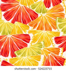 Citrus slices seamless
