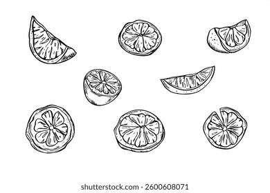 Citrus slices set vector isolated illustration painted by black inks. Monochrome lemon, orange or lime pieces and half f fruit clipart. Food ingredient for card design, cocktail party, tropical decor.