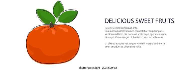 Citrus tangerine banner, tropical fruit mandarin isolated on white background, vector illustration
