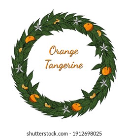 Citrus tangerines oranges fruits with leaves wreath for the holiday. Vector illustration. Hand drawing, cartoon, sketch