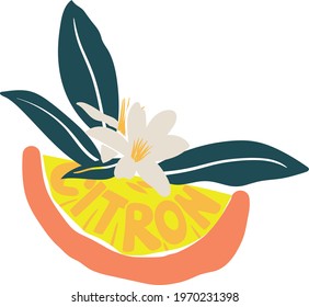 Citrus themed vector print design