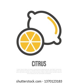 Citrus thin line icon. Symbol for packaging. Vector illustration of lemon.