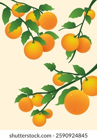 Citrus tree branch collection, kumquat tree, tangerine, oranges blossom, mandarin fruits. Chinese new year trees, tropical fruits, green leaves. Vector Illustration