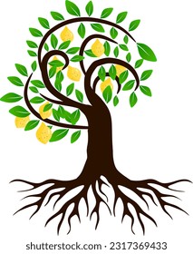 citrus tree illustration isolated on white. fresh fruits hanging on the trees