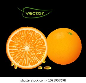 Citrus. Vector 3D realistic isolated-sliced oranges, bright juicy delicious ripe fruit, set of whole and crushed with dripping juice.