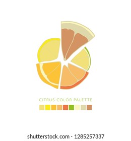 Citrus vector color palette