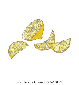 Citrus - vector illustration of a sliced lemon, isolated.