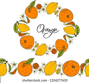 citrus vector set