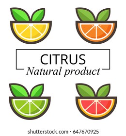 citrus vector set with text