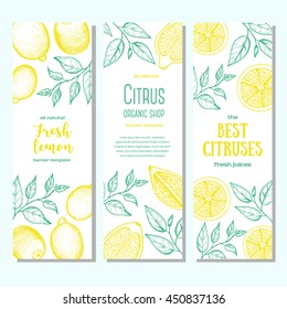 Citrus vertical banner collection. Lemons hand drawn in ink illustration. Vector vintage illustration.  Line art graphic.