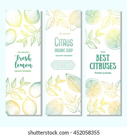 Citrus vertical banner collection. Lemons and orange hand drawn in ink illustration. Vector vintage fresh illustration. Line art graphic.