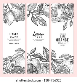 Citrus vertical design templates collection. Engraved  botanical style illustration. Vector illustration