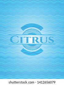Citrus water representation emblem background. Vector Illustration. Detailed.