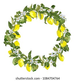 Citrus wreath in vector graphic with blooming flowers and branches with fruits and leaves. There are yellow and green fruits of lemon tree