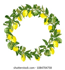 Citrus wreath in vector graphic with branches with fruits and leaves. There are yellow and green fruits of lemon tree