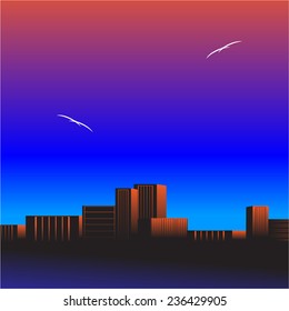 City buildings against the beautiful sky about water and steam of birds
