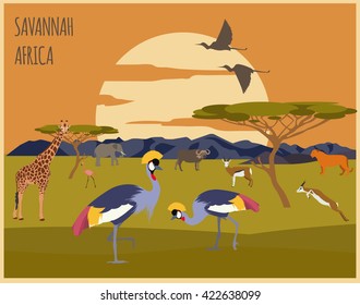 City buildings graphic template. Savannah. Africa. Vector illustration