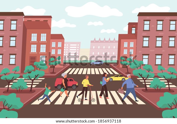 City crossroads flat\
background with marking on pedestrian crossing cars and park trees\
vector illustration