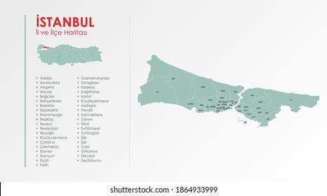 İstanbul City and Districts Illustration Vector Map
