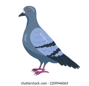 City grey bird. Small cute character. Fauna, nature and biology. Toy or mascot for children. Graphic element for printing on fabric, poster or banner for website. Cartoon flat vector illustration