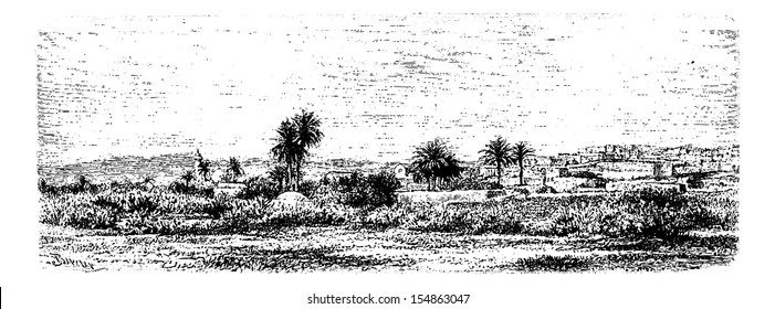 City of Jenin in West Bank, Israel, vintage engraved illustration. Le Tour du Monde, Travel Journal, 1881