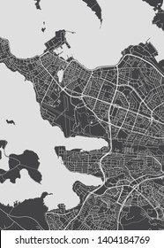 City map Reykjavik, monochrome detailed plan, vector illustration