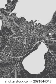 City map Tallinn, monochrome detailed plan, vector illustration