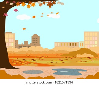 City Park landscape in autumn with tree and leaves
