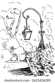 City park landscape with an old street lamp and trees. Vector hand drawn sketch, black and white.