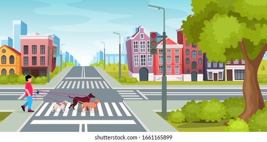 City road with crossroads traffic lights. Boy walking dogs across the road at crossroads. City road with crossroads on background vintage building, houses residential with crossing crosswalks vector