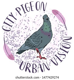 city urban street pigeon bird on pink circle background with feather editable vector illustration