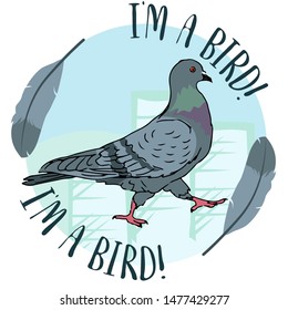 city urban street pigeon bird on blue circle background with feather editable vector illustration