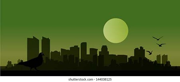 City View, Vector