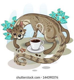 Civet Coffee Kopi Luwak