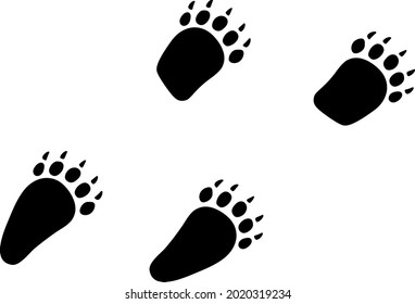 Civet Footprints, einzelne Vektorgrafik.