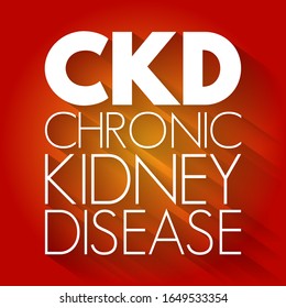 Ckd Chronic Kidney Disease Acronym Medical Stock Vector (Royalty Free ...