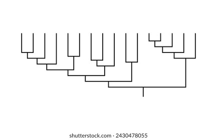 Cladogram family tree of a biological group
Cladograms, like family trees, tell the pattern of ancestry and descent. an evolutionary tree that diagrams the ancestral relationships among organisms.