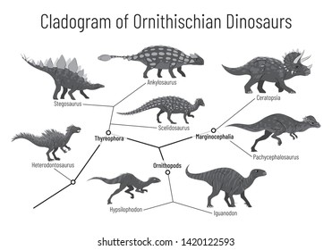 Cladogram Of Ornithischian Dinosaurs. Monochrome Vector Illustration Of Diagram Showing Relations Among Ornithischia - Thyreophora, Ornithopods, Marginocephalia. Dinosaurs On White Background.