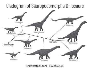 sauropod meaning