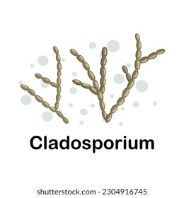 Cladosporium.Microorganisms. Medicine and health. Cartoon. Microbiota. Microbiome. Vector stock illustration. Isolated.Bacteria in the body. Bifidobacteria.