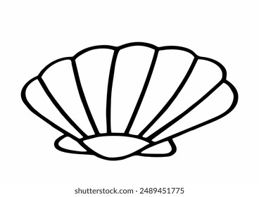 clam cockle, scallop, sketch, seafood, black line, symbol on white background