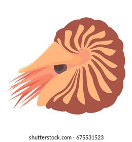 Clam icon. Cartoon illustration of clam vector icon for web isolated on white background