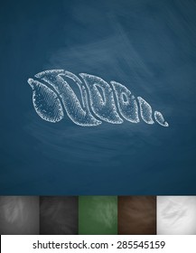 clam icon. Hand drawn vector illustration. Chalkboard Design